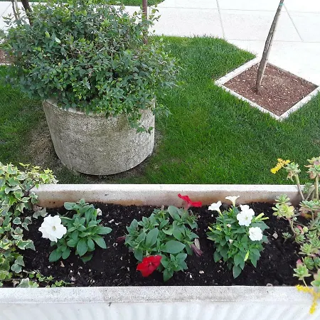Mirta Apartment